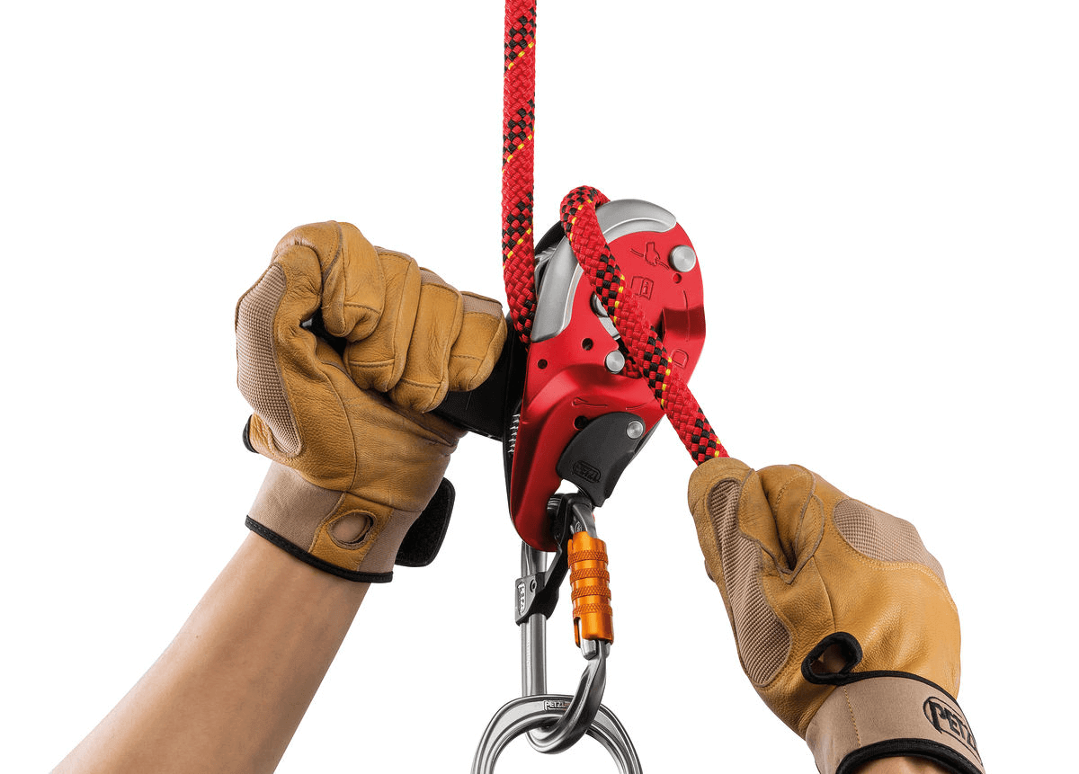 Petzl I'D® L Descender