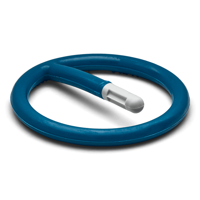 Wright Socket Retaining Ring, 1