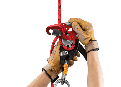 Petzl I'D® L Descender